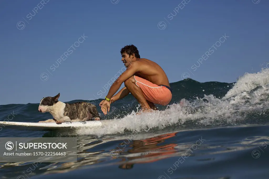 Young man and dog riding surfboard on ocean wave