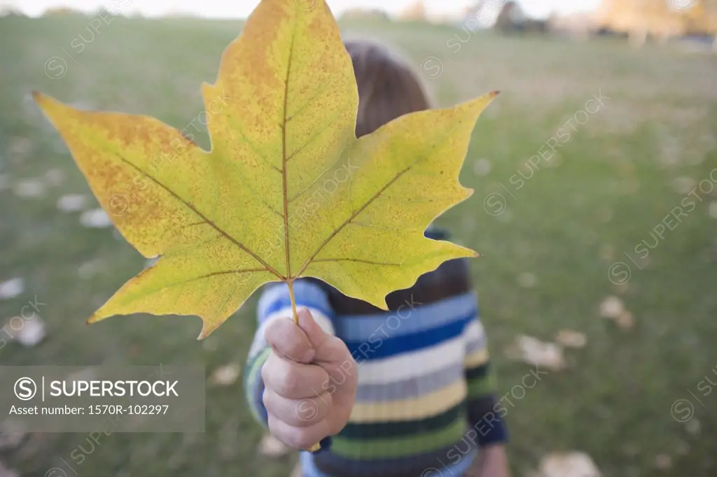 A young boy holding a leaf in front of his face