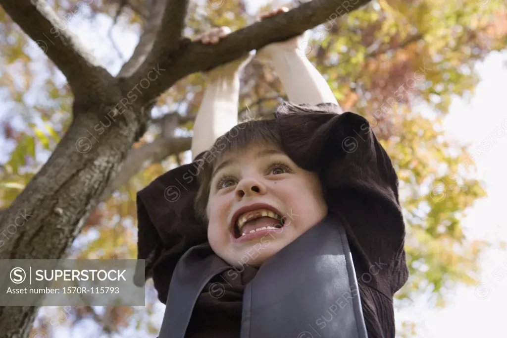 Young boy hanging from tree branch