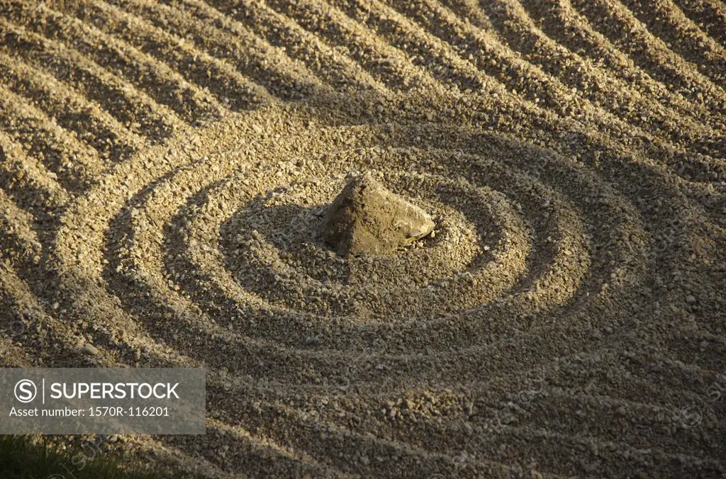 Patterns in a rock garden