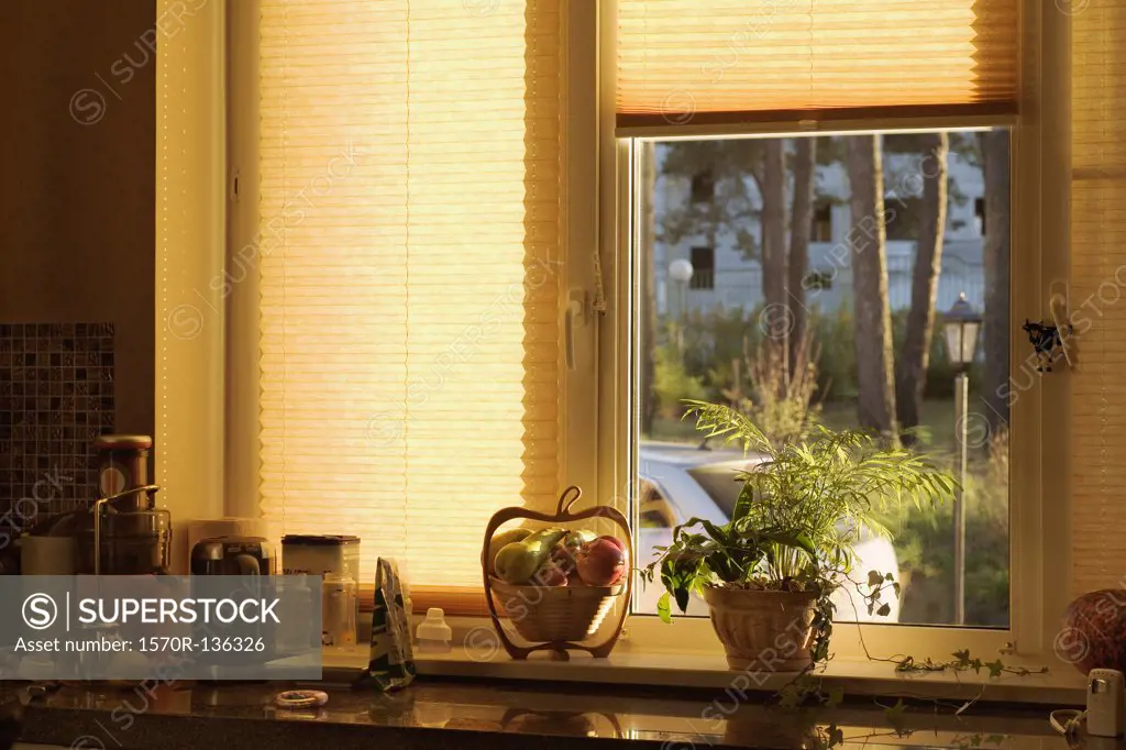 A domestic kitchen counter and window, still life