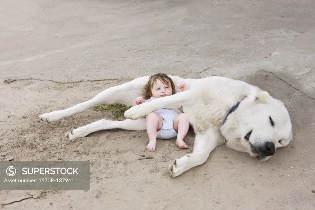 A baby lying with a dog