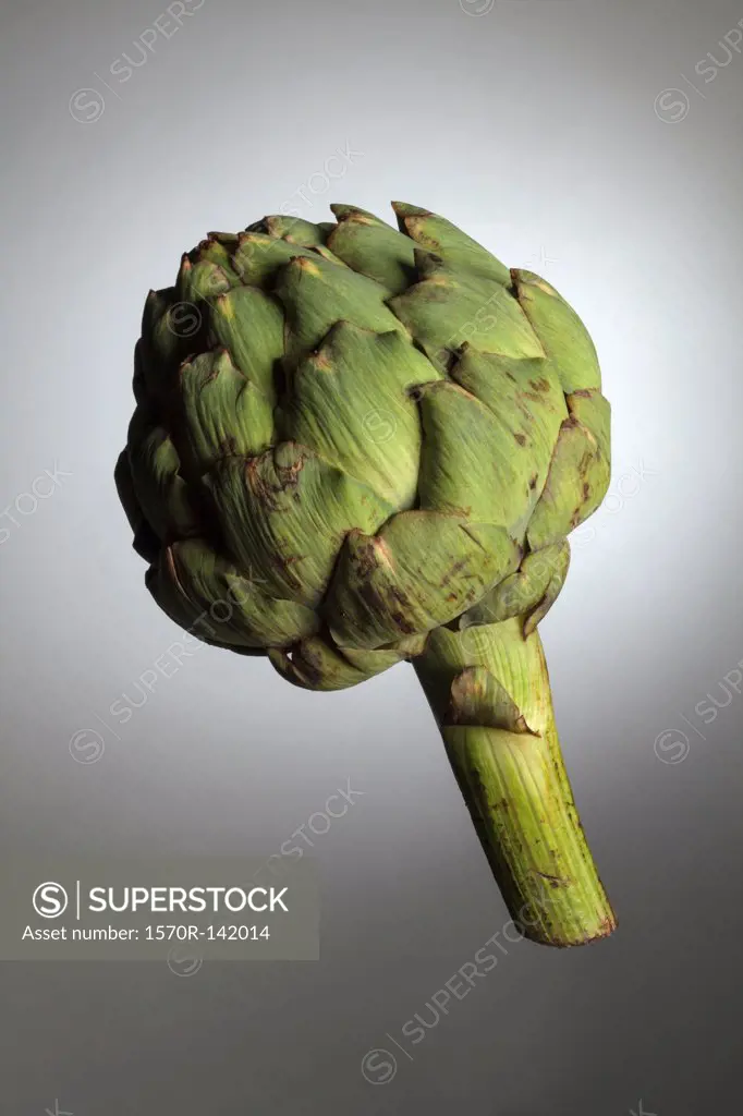 An artichoke in mid-air