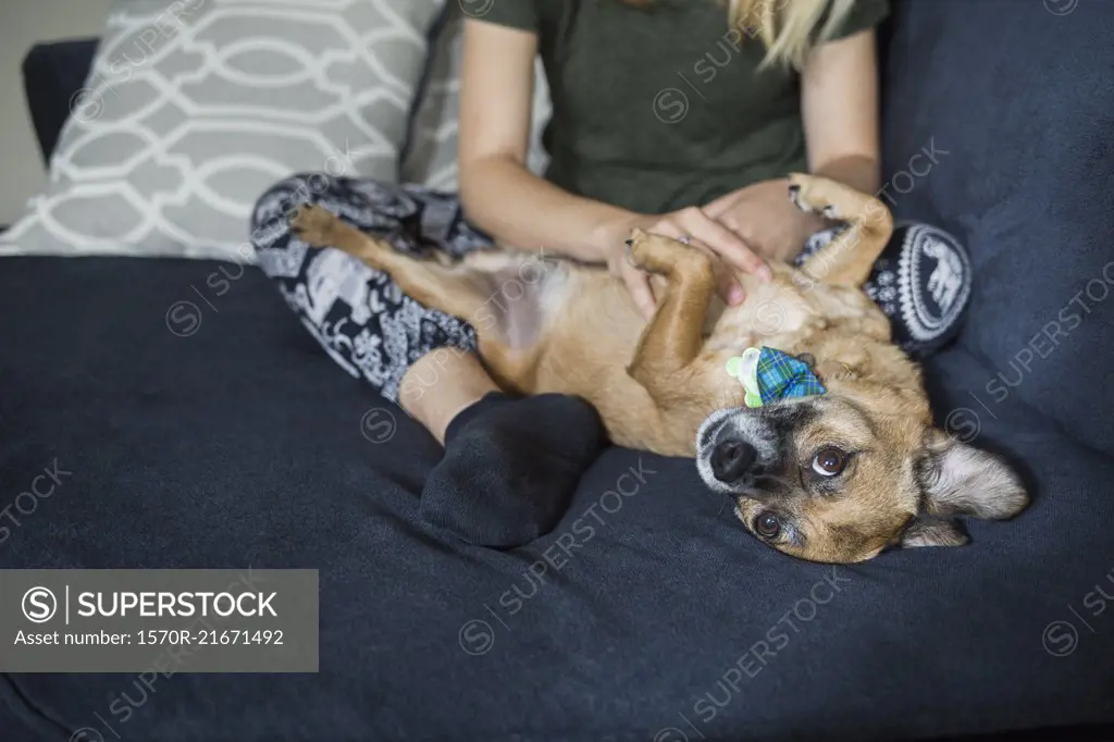 Low section of young woman sitting with dog on sofa at home