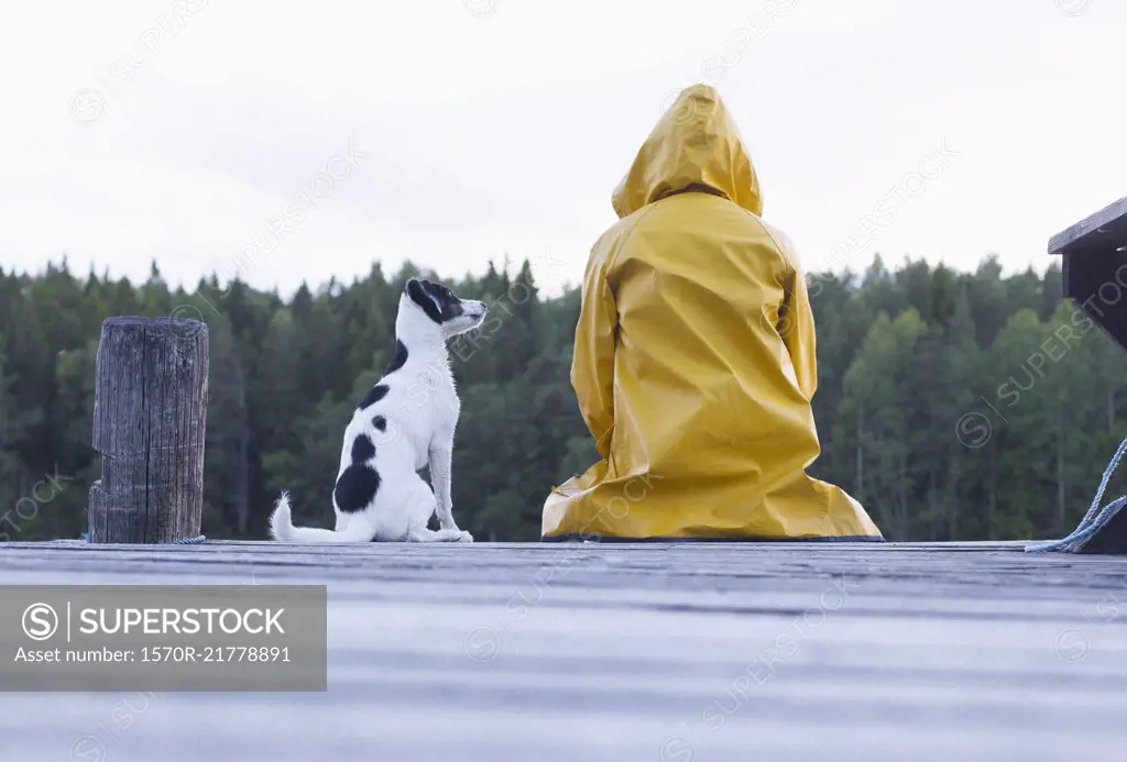 Rear view of woman wearing yellow raincoat sitting with dog on jetty at forest