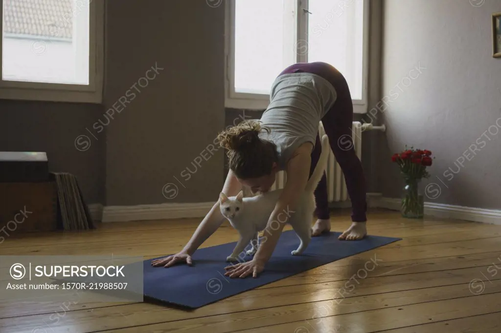 Full length of woman practicing downward facing dog position with cat on exercise mat at home