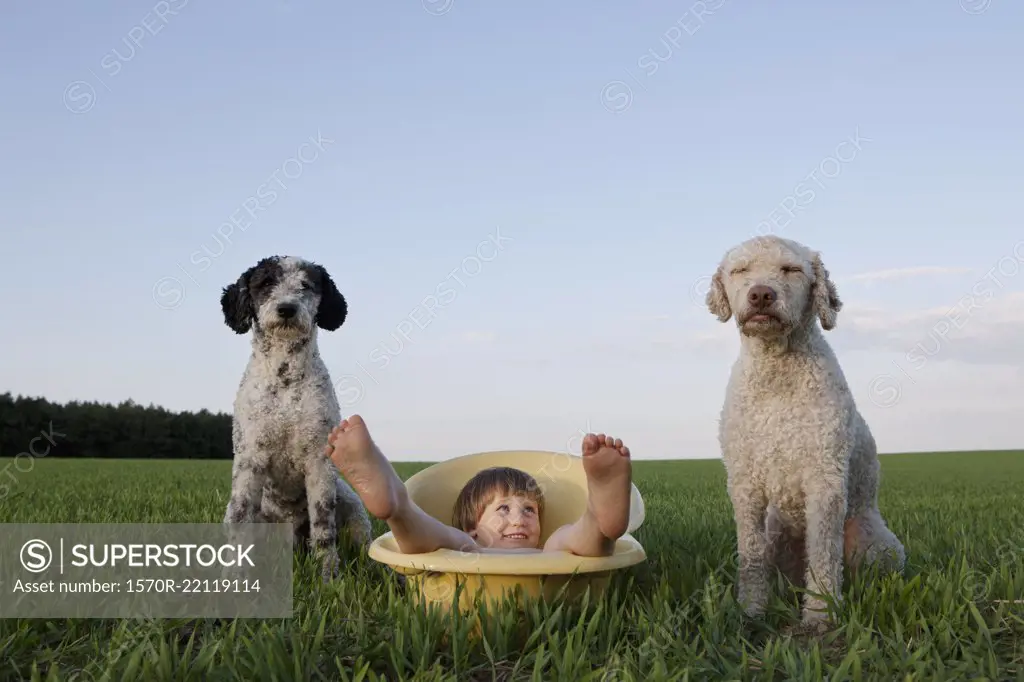 Portrait playful girl in bathtub next to dogs in rural field