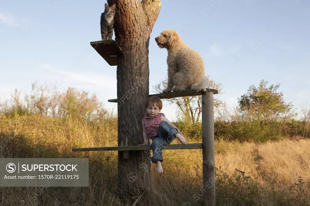 Cute girl on tree shelf with dog and cat