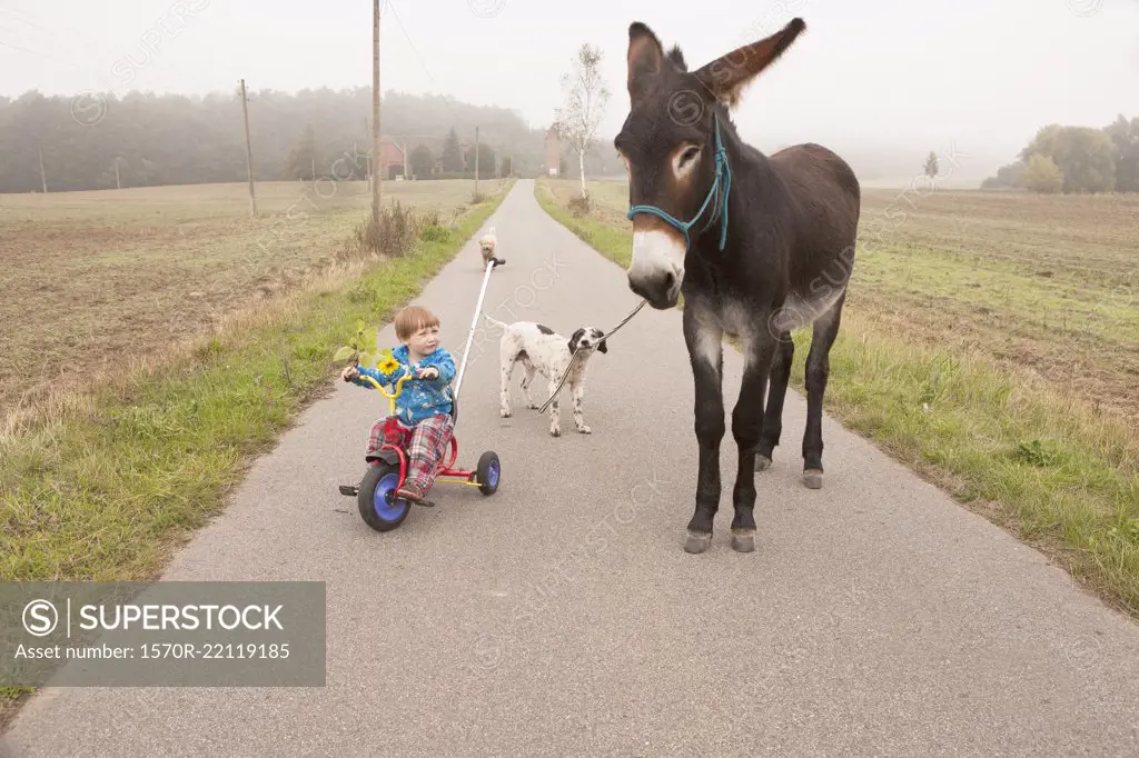 Girl riding tricycle with donkey and dog on rural road