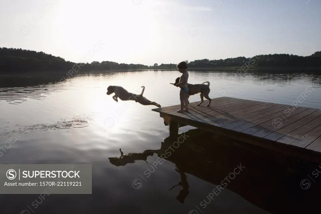 Girl watching dog jumping off lakeside dock, Wiendorf, Mecklenburg-Vorpommern, Germany