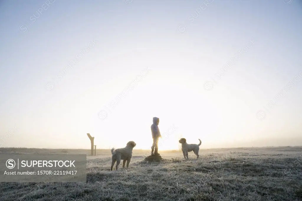 Girl in frozen winter field with dogs