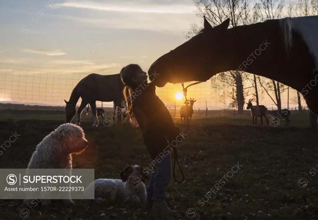 Silhouette girl and horse kissing on farm at sunset