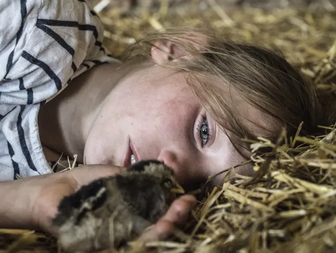 Close up girl holding baby chick in straw