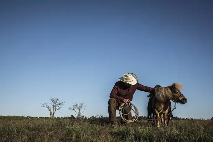 Male cowboy with pony in sunny rural field