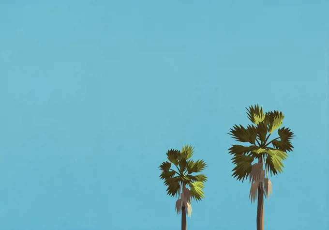 Palm trees against blue sky