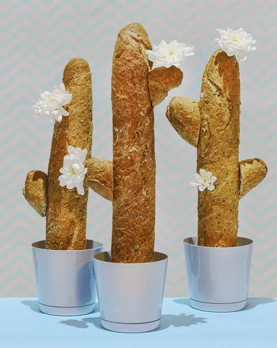 Bread loaves forming cacti with flowers