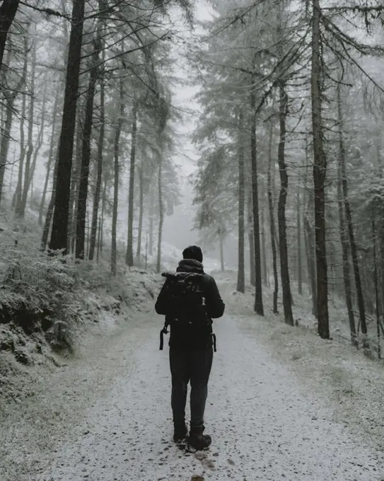 Male hiker with backpack on snow covered path below trees in winter woods, Snake Pass, England