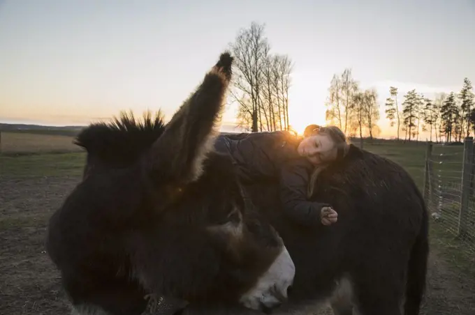 Girl laying on donkey in pasture