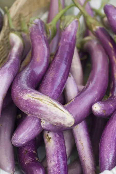 Japanese eggplants