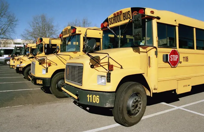 Row of school buses