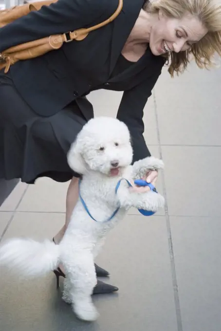 Woman playing with dog on sidewalk