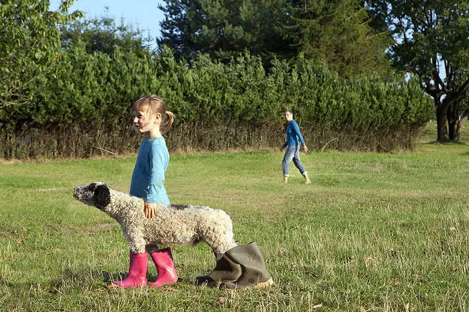 Side view of girl standing with dog wearing rubber boots on field