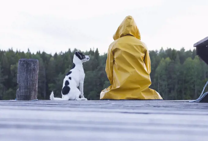 Rear view of woman wearing yellow raincoat sitting with dog on jetty at forest