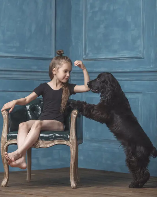 Full length of girl sitting on antique chair while looking at dog rearing up at home