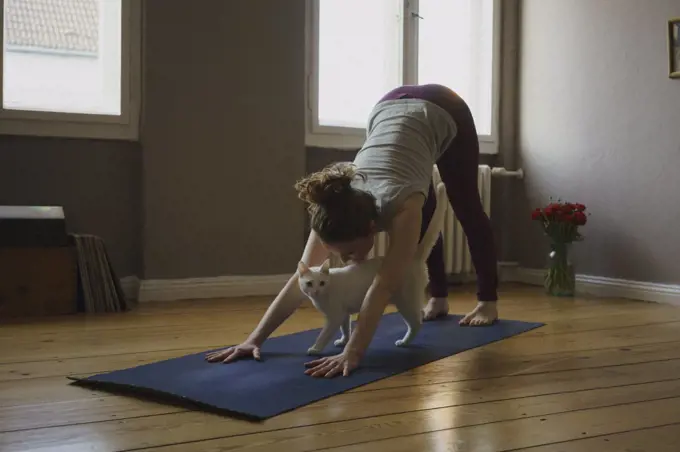 Full length of woman practicing downward facing dog position with cat on exercise mat at home