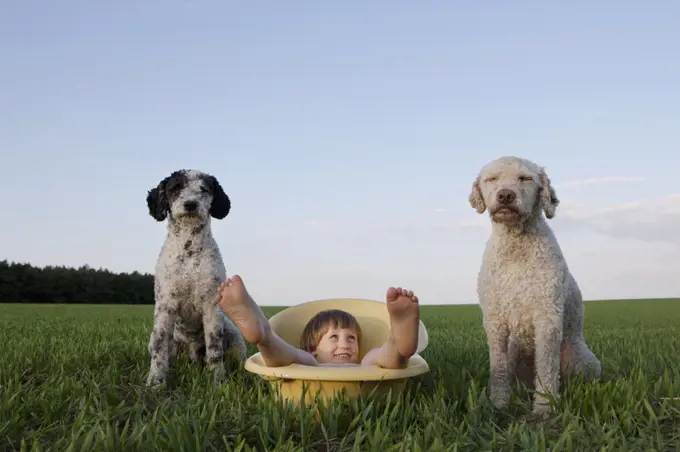 Portrait playful girl in bathtub next to dogs in rural field