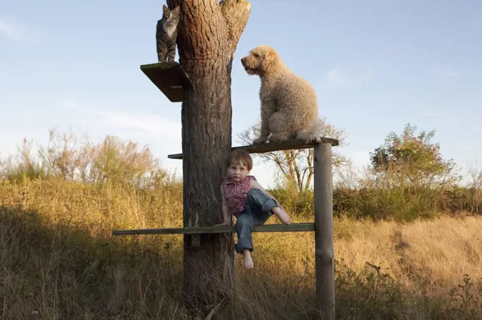 Cute girl on tree shelf with dog and cat