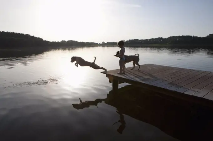 Girl watching dog jumping off lakeside dock, Wiendorf, Mecklenburg-Vorpommern, Germany