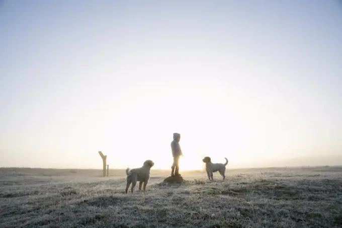 Girl in frozen winter field with dogs