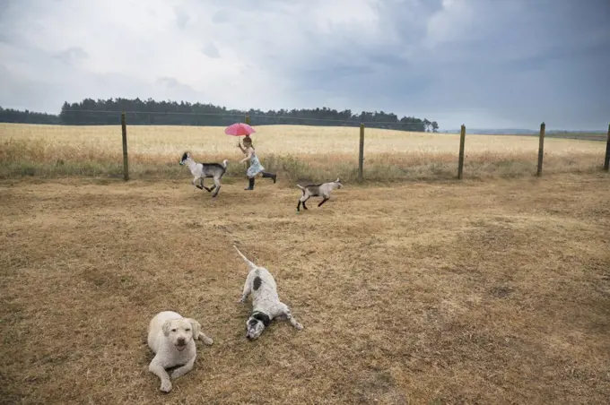 Girl playing on farm with goats and dogs