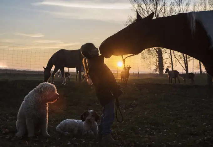 Silhouette girl and horse kissing on farm at sunset