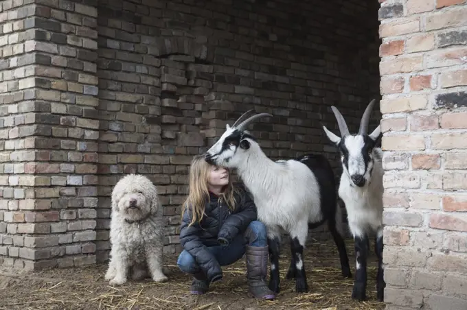 Girl with goats and dog in barn doorway