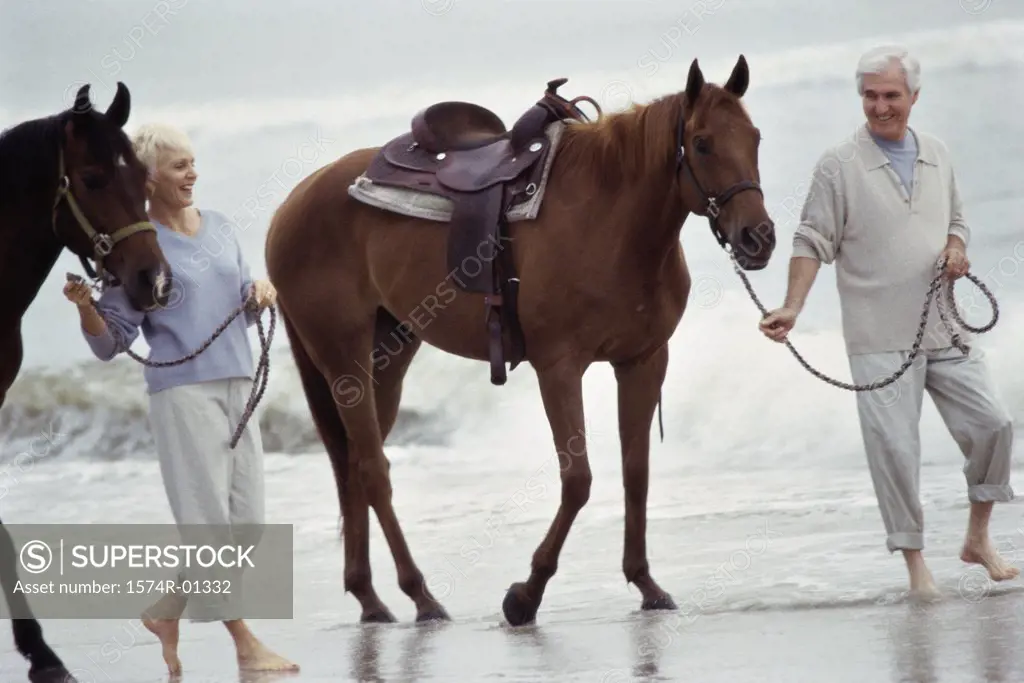 Senior couple walking with horses on the beach