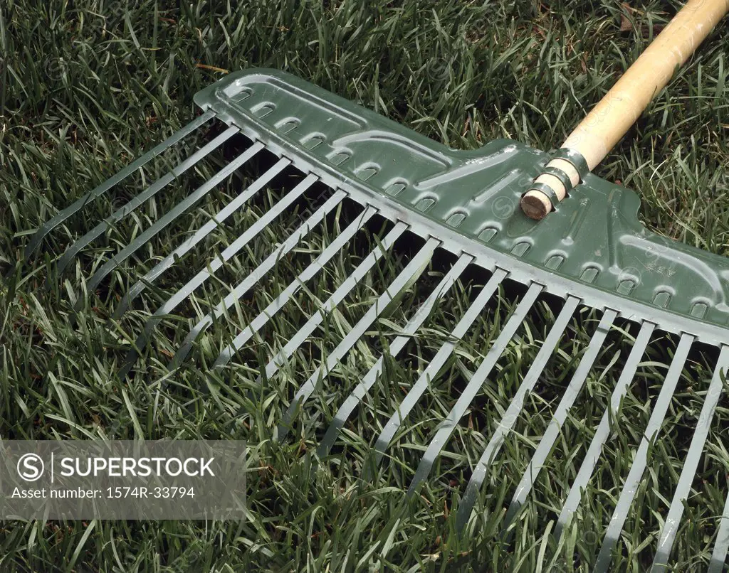 Close-up of a rake