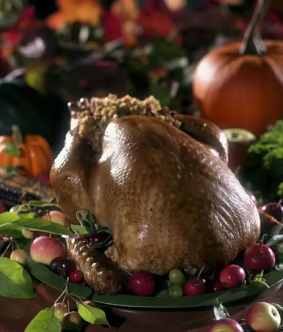 Close-up of a cooked turkey on a plate