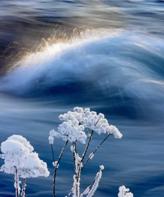 Lake Ellidavatn Iceland