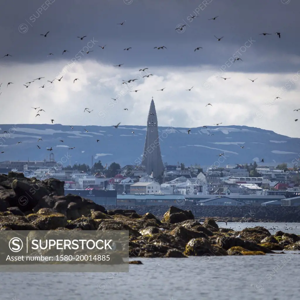 Reykjavik Skyline with Hallgrimskirkja, Reykjavik, Iceland Religion church tower Lutheran stone old architecture Videy with Mt Esja, Reykjavik, Iceland