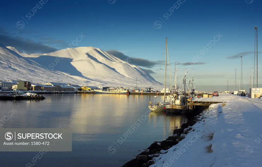 Iceland, Dalvik harbor and fishing village in Winter