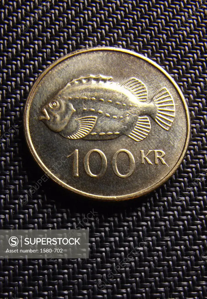 Icelandic 100 kronur coin, Iceland