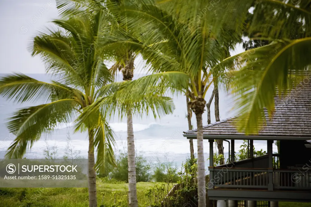 Exterior of a Hawaiian home overlooking the sea