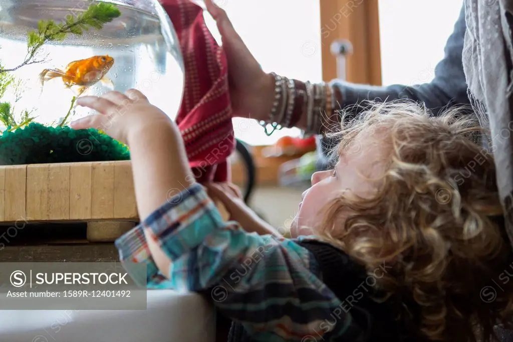 Caucasian mother and baby boy examining fishbowl