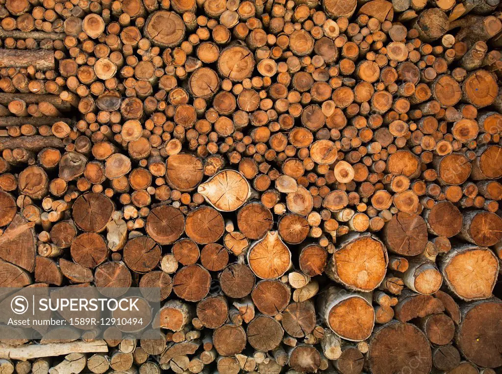 Pile of cut logs