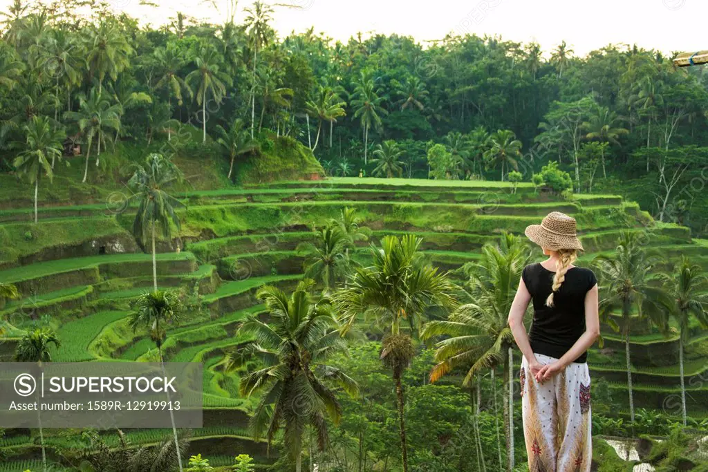 Caucasian tourist admiring rural rice terrace, Ubud, Bali, Indonesia