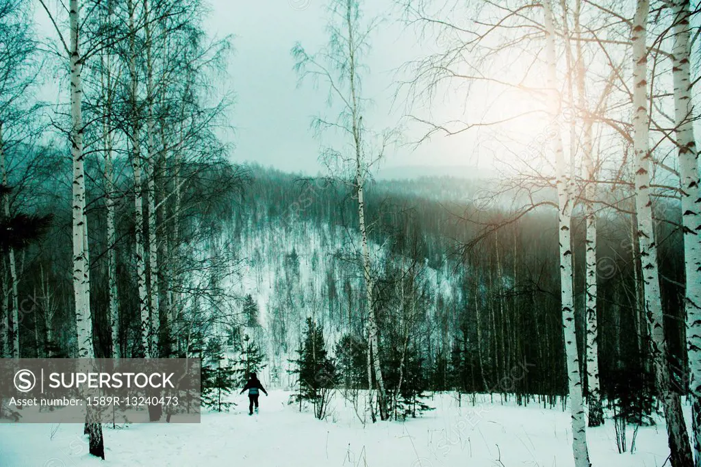 Hiker walking in snowy forest