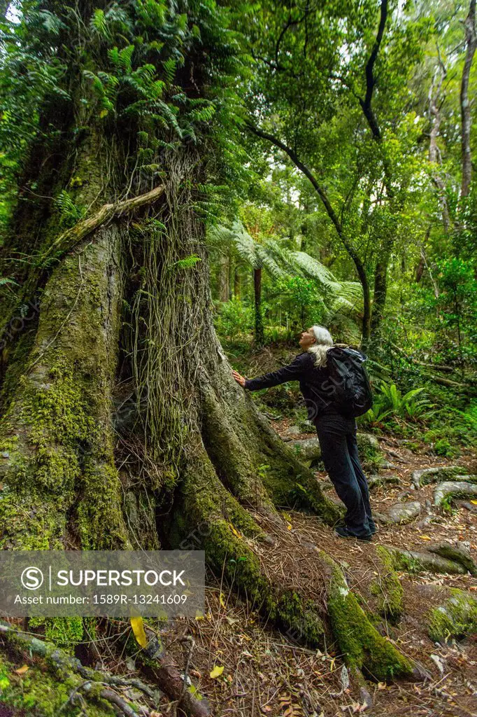 Caucasian hiker leaning on tree in forest