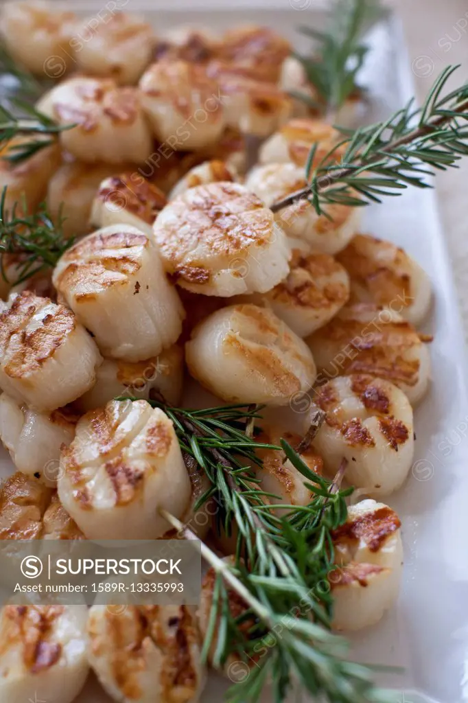Grilled scallops and rosemary